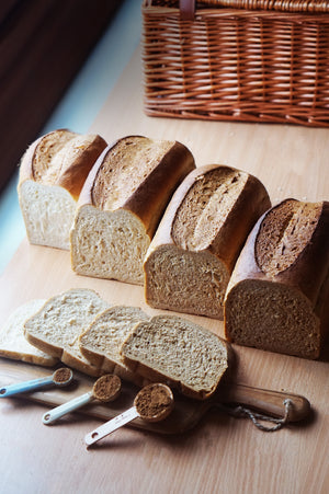 EDME Artisan Pantry | Toasted Malt 230 | 10kg